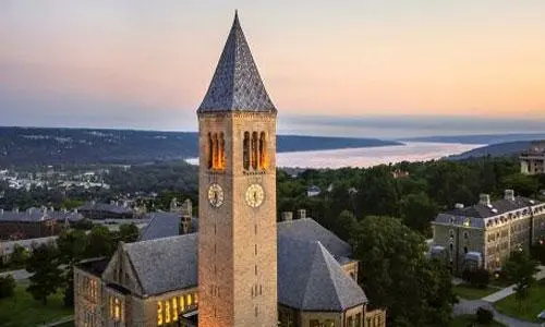 美国康奈尔大学医学院博士后职位