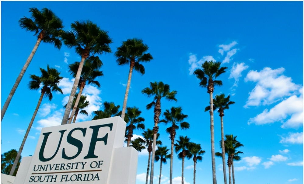 南佛罗里达大学访问学者、博士后职位招聘