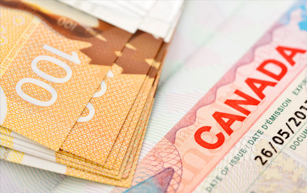 访问学者如何查询加拿大签证的进度呢？