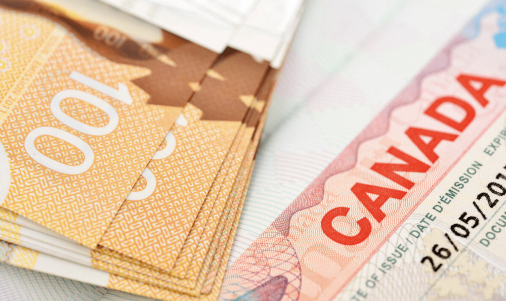 访问学者如何查询加拿大签证的进度呢？