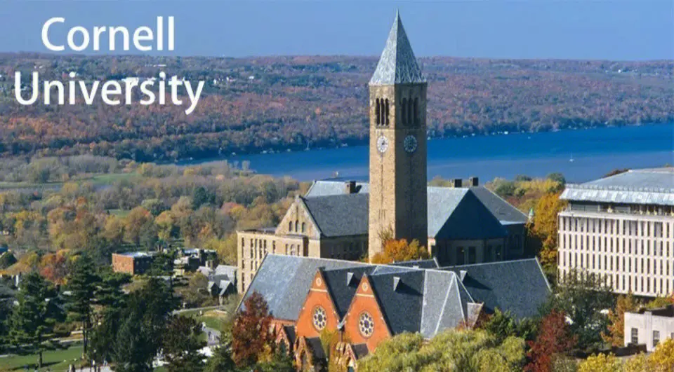 康奈尔大学正在招收访问学者、博士后职位