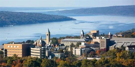 美国康奈尔大学博士后职位招聘