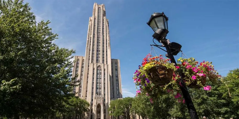 美国匹兹堡大学博士后职位招聘