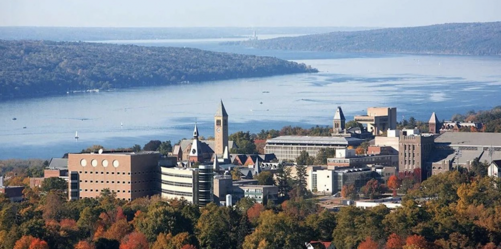 美国康奈尔大学访问学者、博士后职位招聘