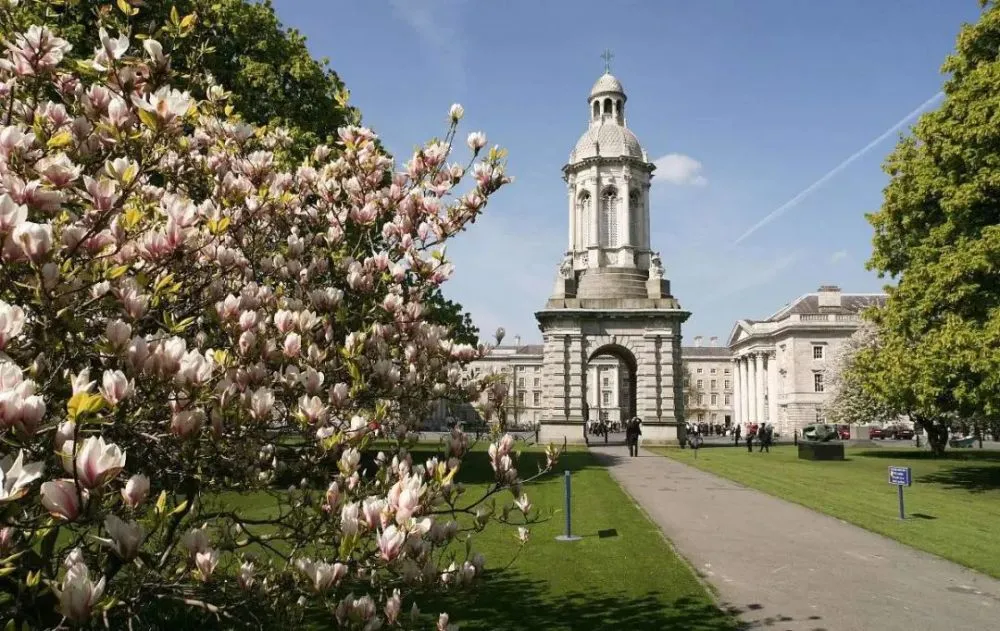 爱尔兰都柏林大学学院博士后职位招聘