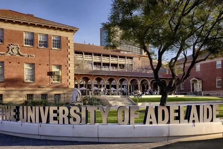 澳洲阿德莱德大学博士后职位招聘