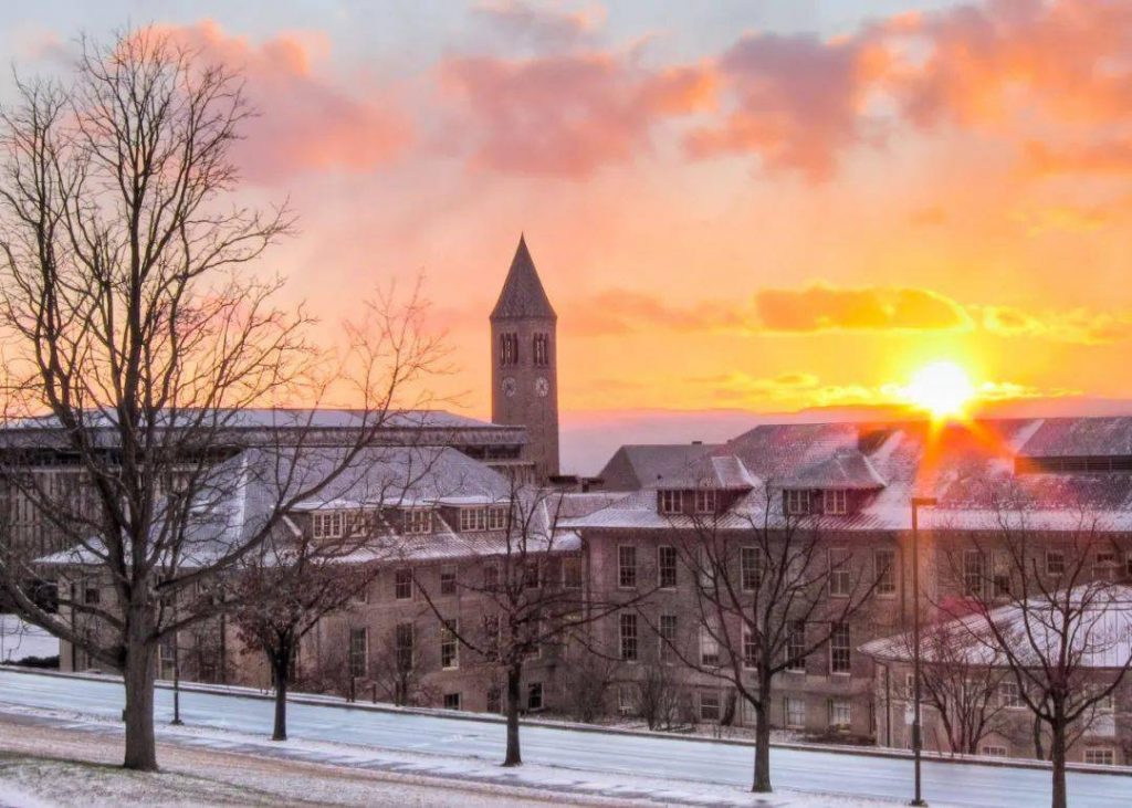 美国康奈尔大学访问学者、博士后职位招聘