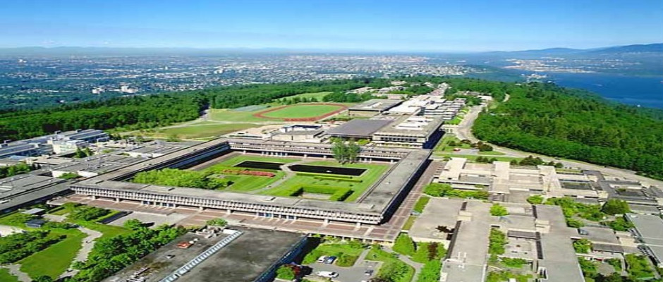 加拿大西蒙弗雷泽大学博士后职位招聘