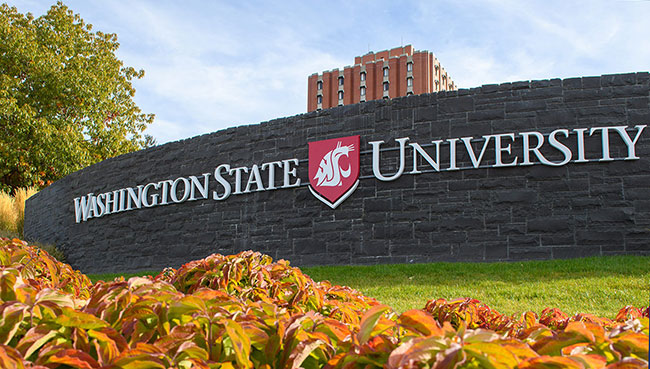 美国华盛顿州立大学博士后职位招聘