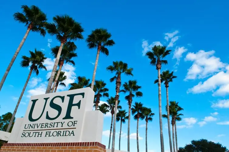 美国南佛罗里达大学博士后职位招聘