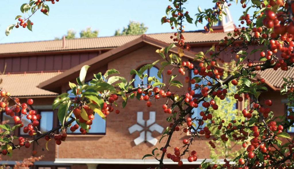 瑞典林雪平大学博士后职位招聘