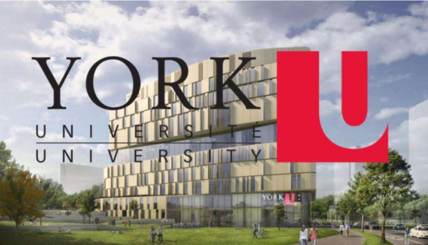 英国约克大学博士后招聘