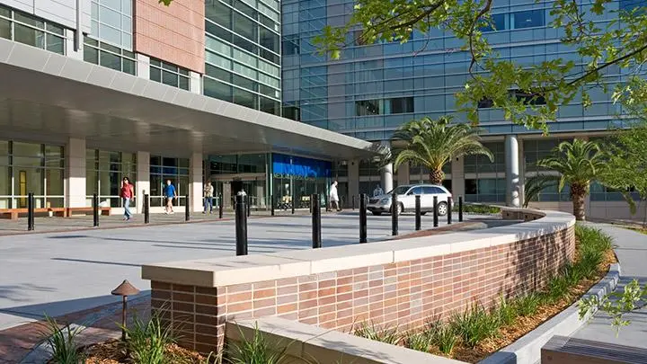 美国南卡罗来纳医科大学博士后职位招聘