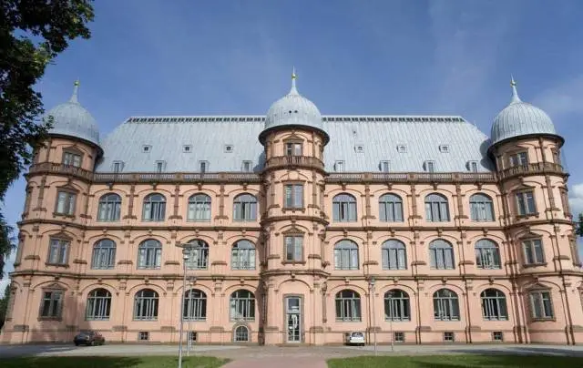 德国卡尔斯鲁厄理工学院博士后职位招聘