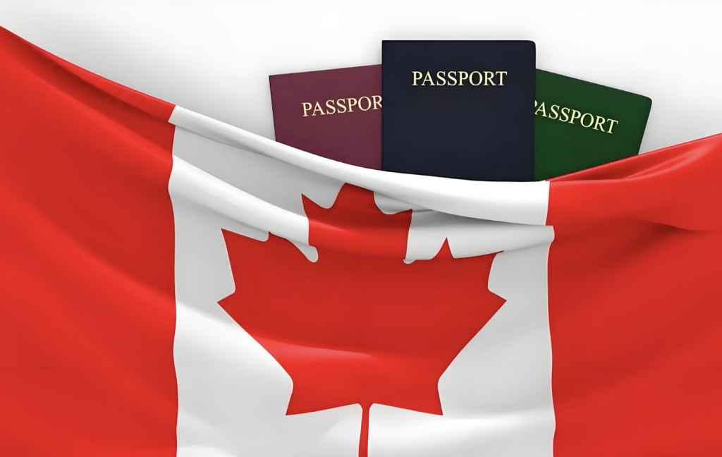 访问学者申请加拿大签证主要类型有哪些？