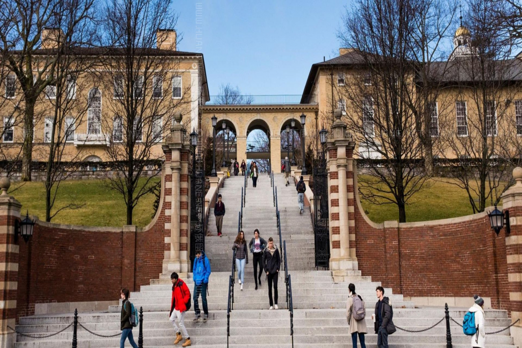 美国塔夫茨大学博士后职位招聘