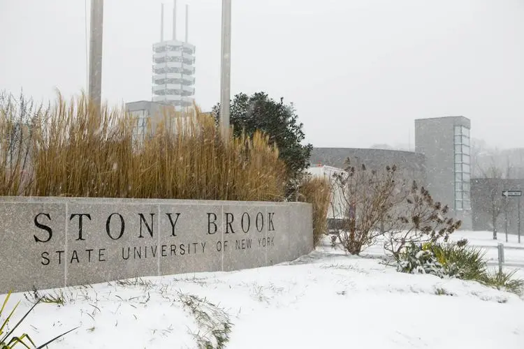 美国石溪大学博士后职位招聘