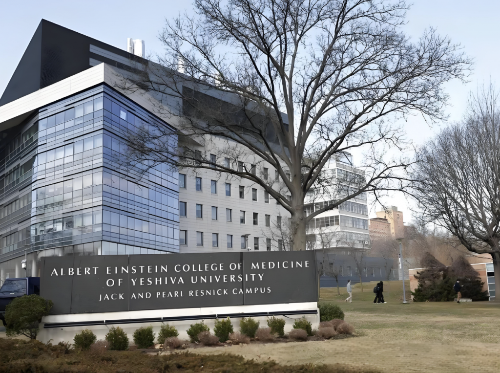 美国阿尔伯特·爱因斯坦医学院博士后职位招聘