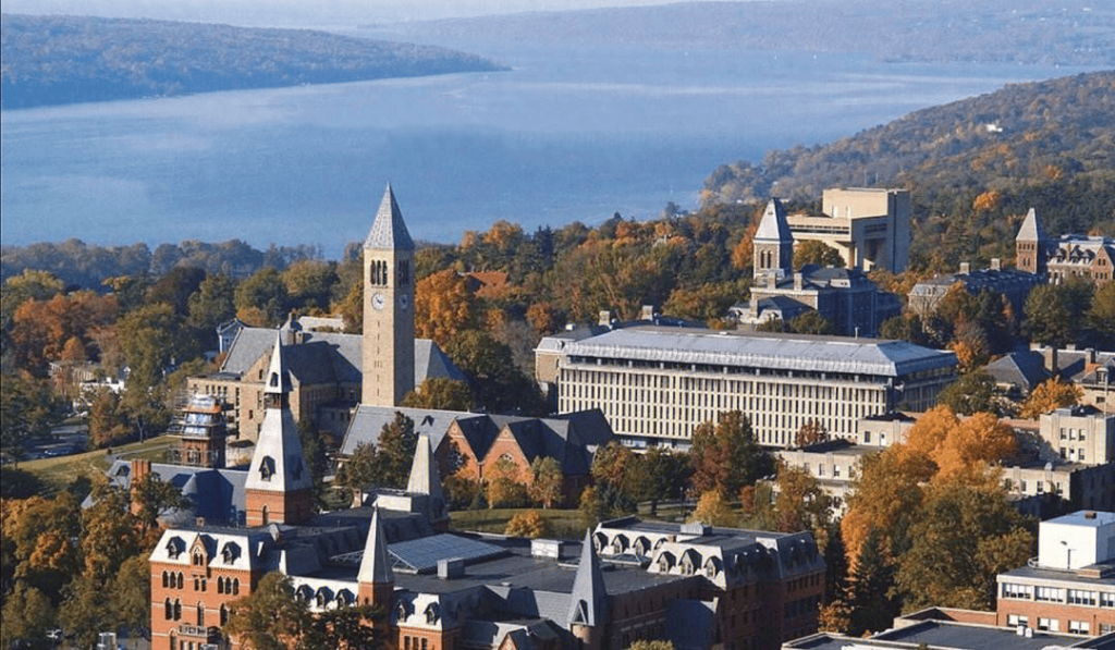 美国康奈尔大学正在招收访问学者、博士后职位