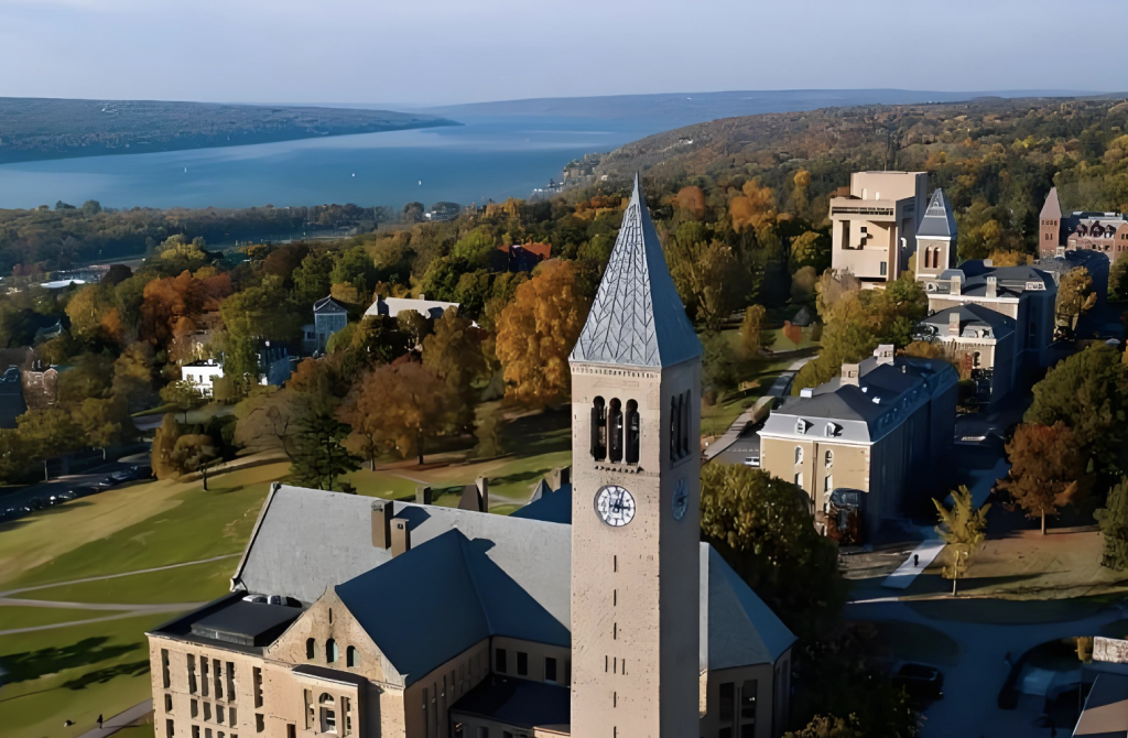 美国康奈尔大学博士后职位招聘