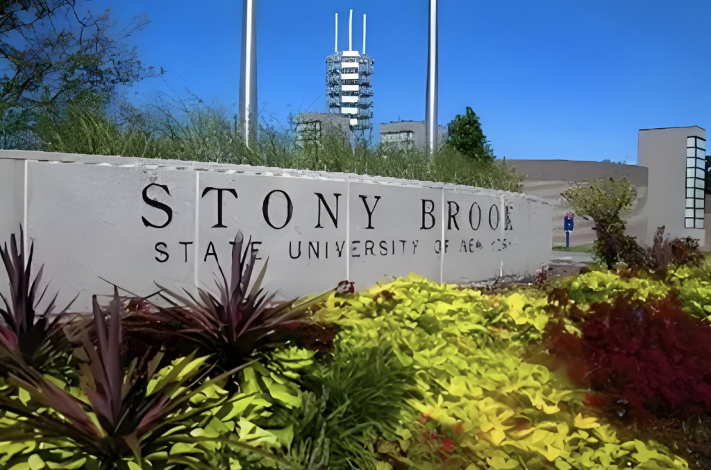 美国石溪大学博士后职位招聘